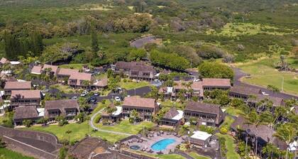 #57 Beautifully Remodeled Studio