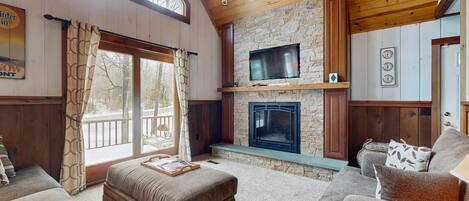 Télévision, cheminée, lecteur de DVD, livres