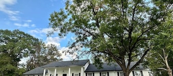 Work/Family Groups: Huge Living Room+Fun Backyard