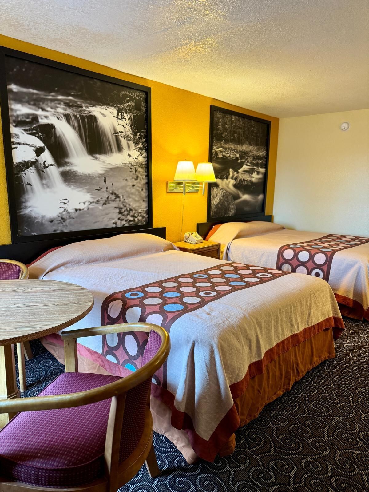 واي فاي مجانًا وتسهيلات لدخول الكراسي المتحركة