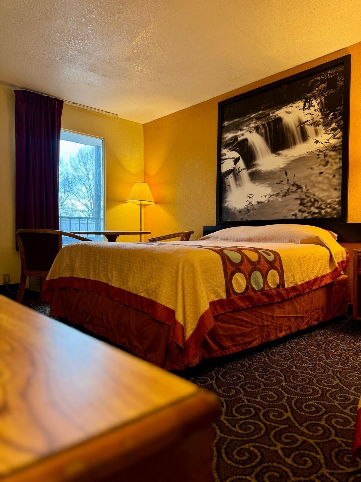 Wifi gratis y acceso para silla de ruedas 