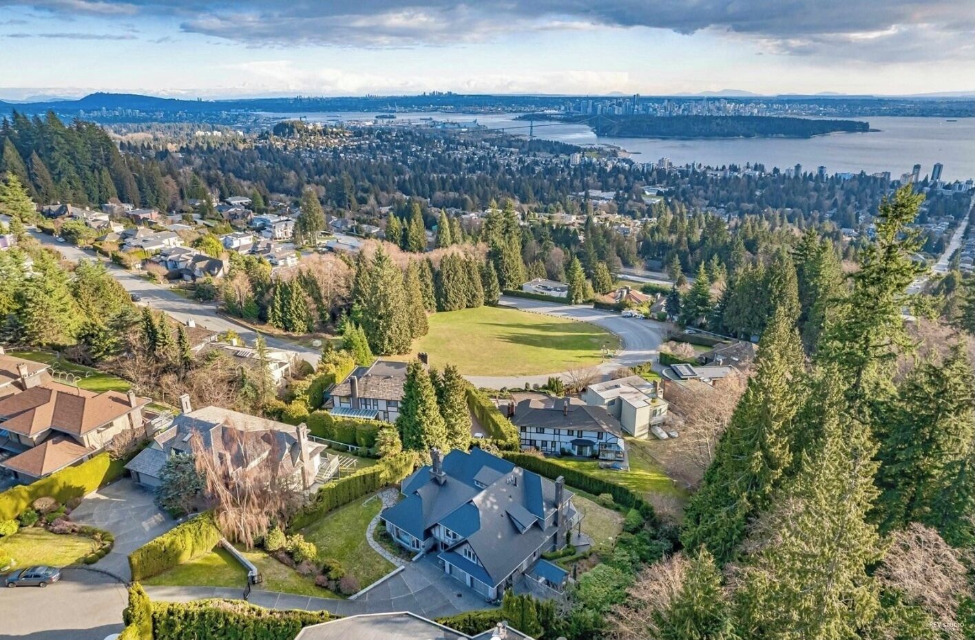 A residential area with houses, a large house with a blue roof, and a view of a city skyline across a body of water.