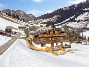 Exterior - Farmhouse apartment with mountain view (Alpbach)