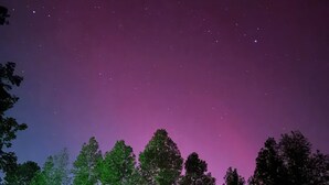 A tented accommodation with a view of the night sky, surrounded by trees.