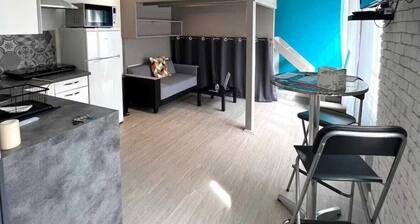 FURNISHED STUDIO DOWNTOWN DIJON FOR RENT