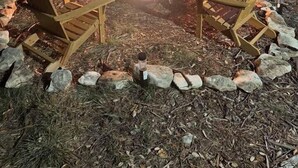 A campfire with four Adirondack chairs arranged around it, set in a natural outdoor area with trees and rocks. - Spring Branch Hill Country Retreat (Canyon Lake)