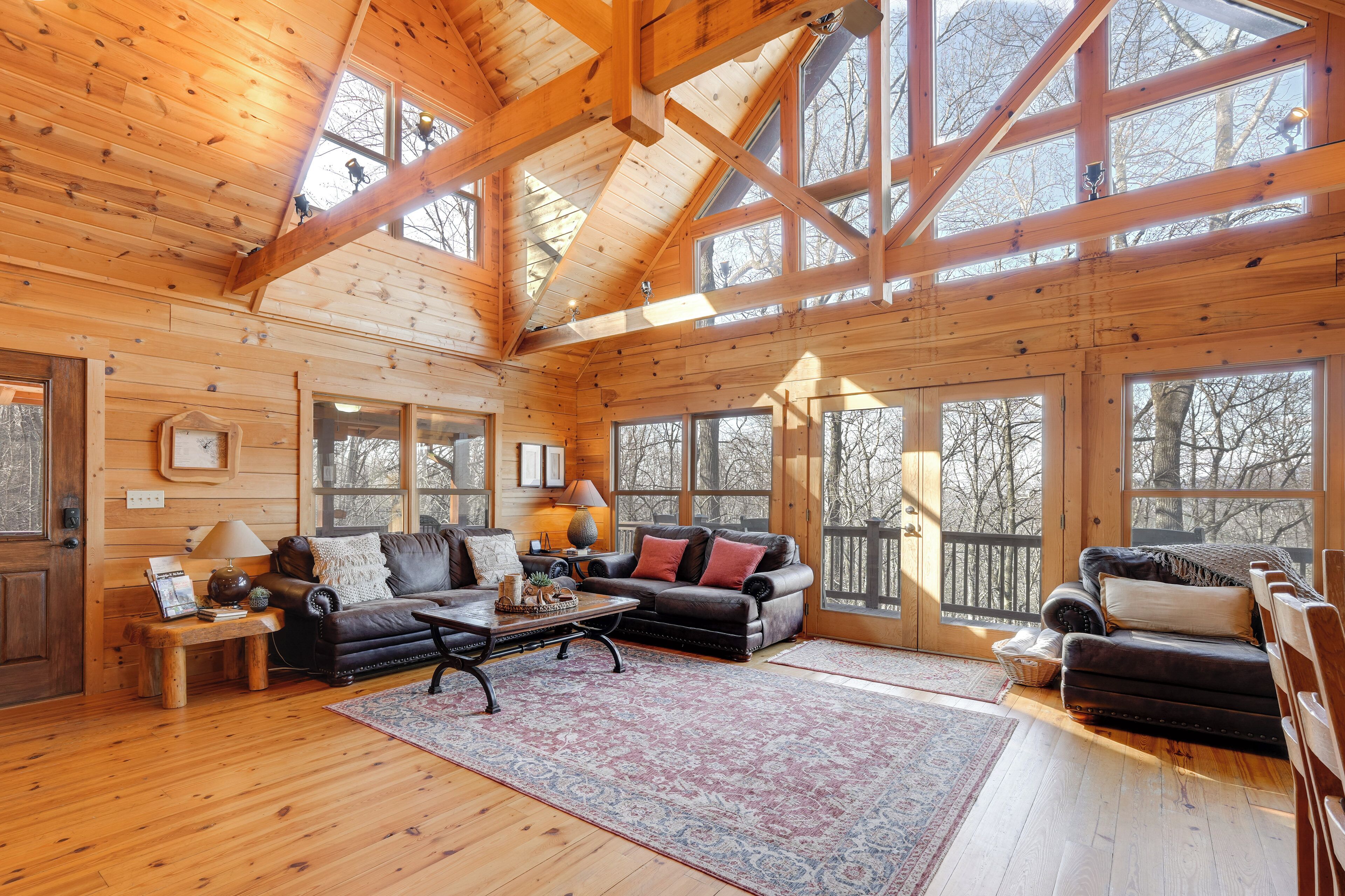 电视、壁炉、DVD 播放器