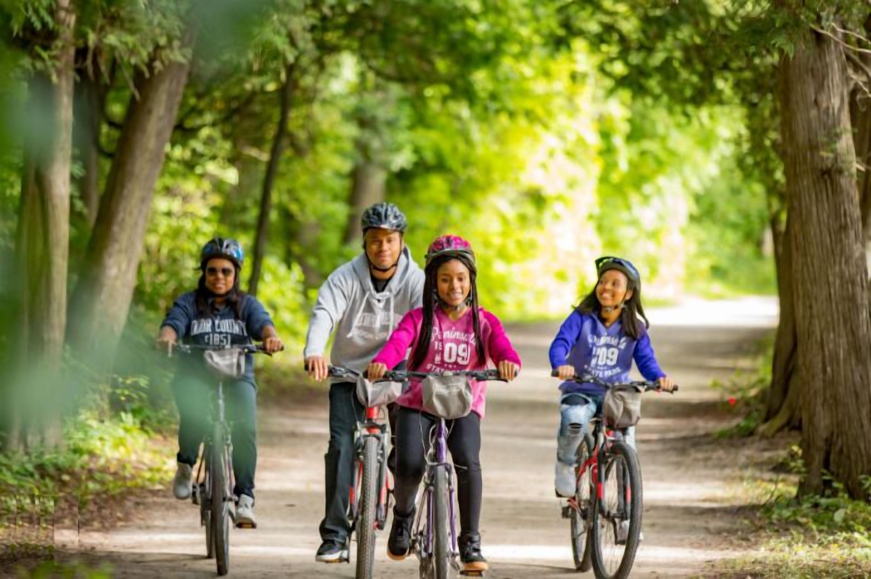 Four people riding bicycles on a tree-lined path.