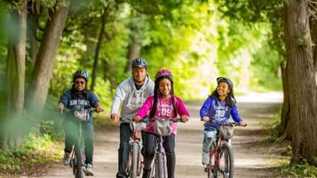 Four people riding bicycles on a tree-lined path.