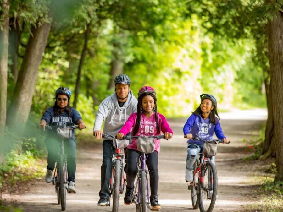 Four people riding bicycles on a tree-lined path.
