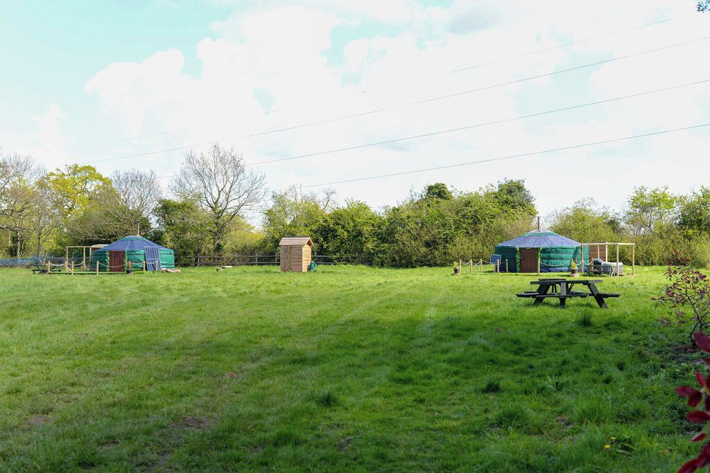 Un campo cubierto de hierba con dos yurtas, un cobertizo de madera y una mesa de picnic.