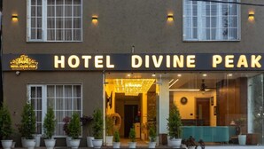 Exterior detail - Divine Peak (Pachmarhi)