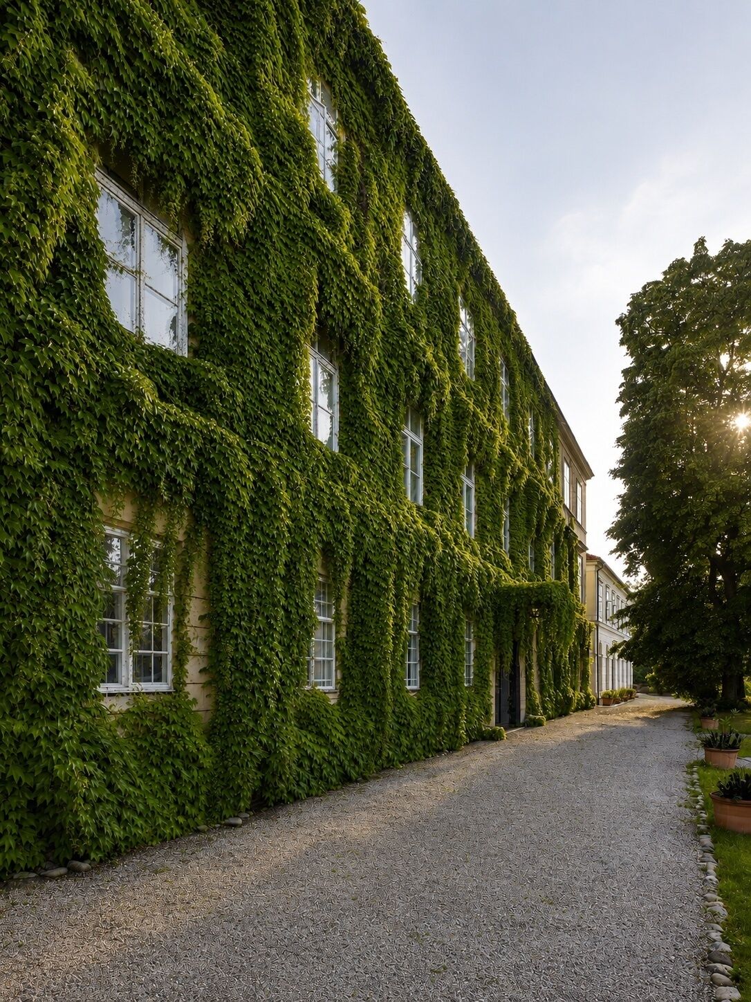 Exteriör