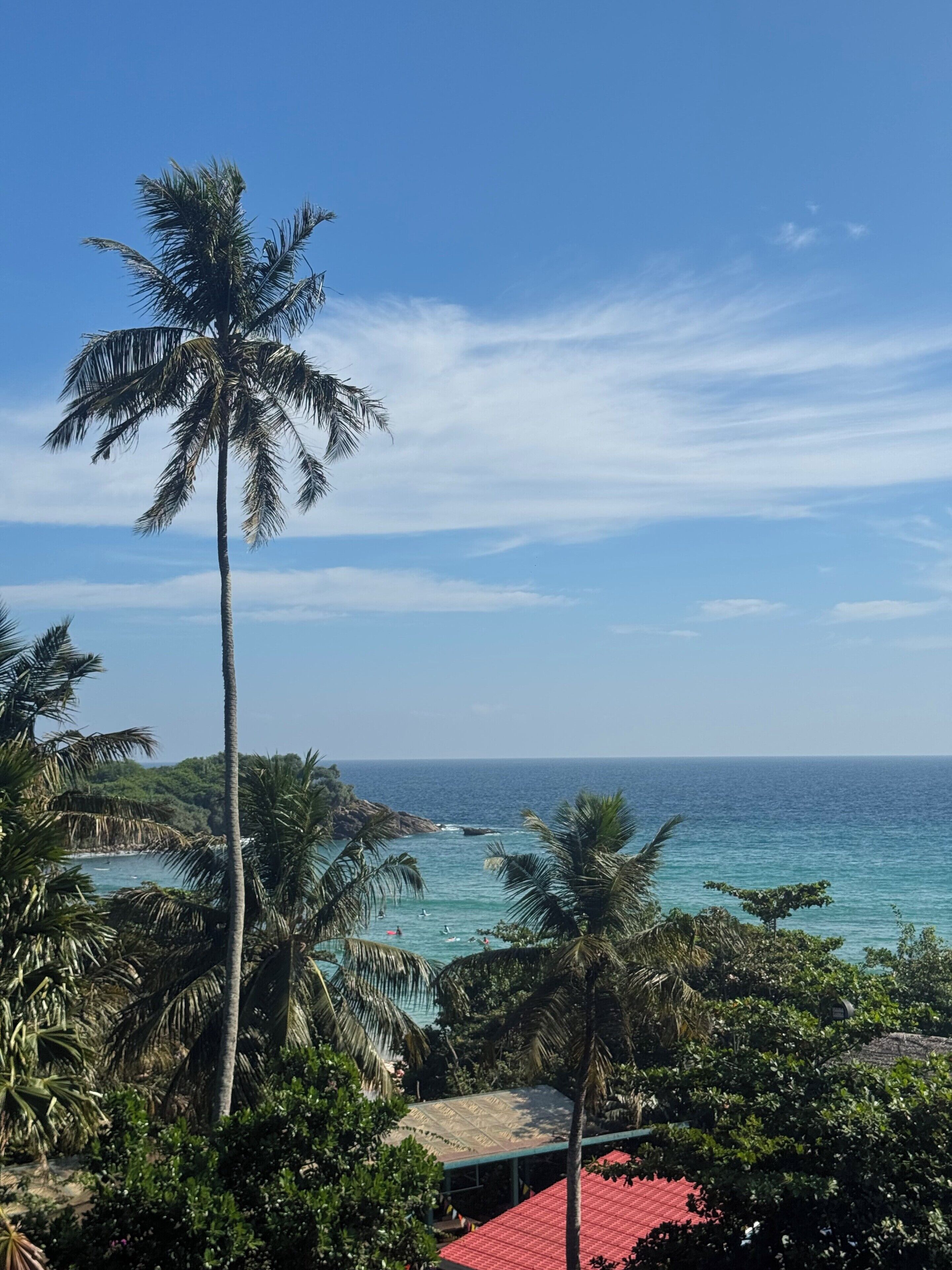 A beach view with palm trees and a clear sky.