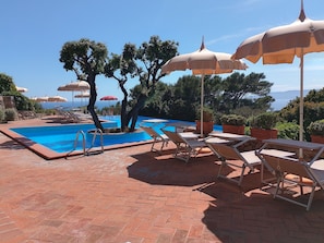 A pool area with lounge chairs and umbrellas, surrounded by trees and a view of the sea.