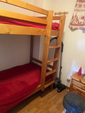 1 bedroom - Cosy apartment 5 minutes walk from the slopes - mountain view - la Joue du loup (Dévoluy)