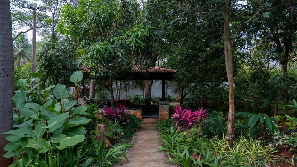 Un sendero en un jardín que lleva a un mirador rodeado de follaje exuberante y plantas tropicales.