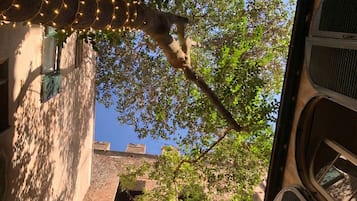 Un stretto vicolo con un ramo d'albero che sporge sul sentiero, una finestra che dà su un edificio in mattoni e luci decorative appese sopra.