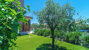 A well-maintained garden with a tree, a modern building with a balcony, and a clear blue sky. - Modern villa with pool, garden and sea view for 8 people in Istria (Galižana)