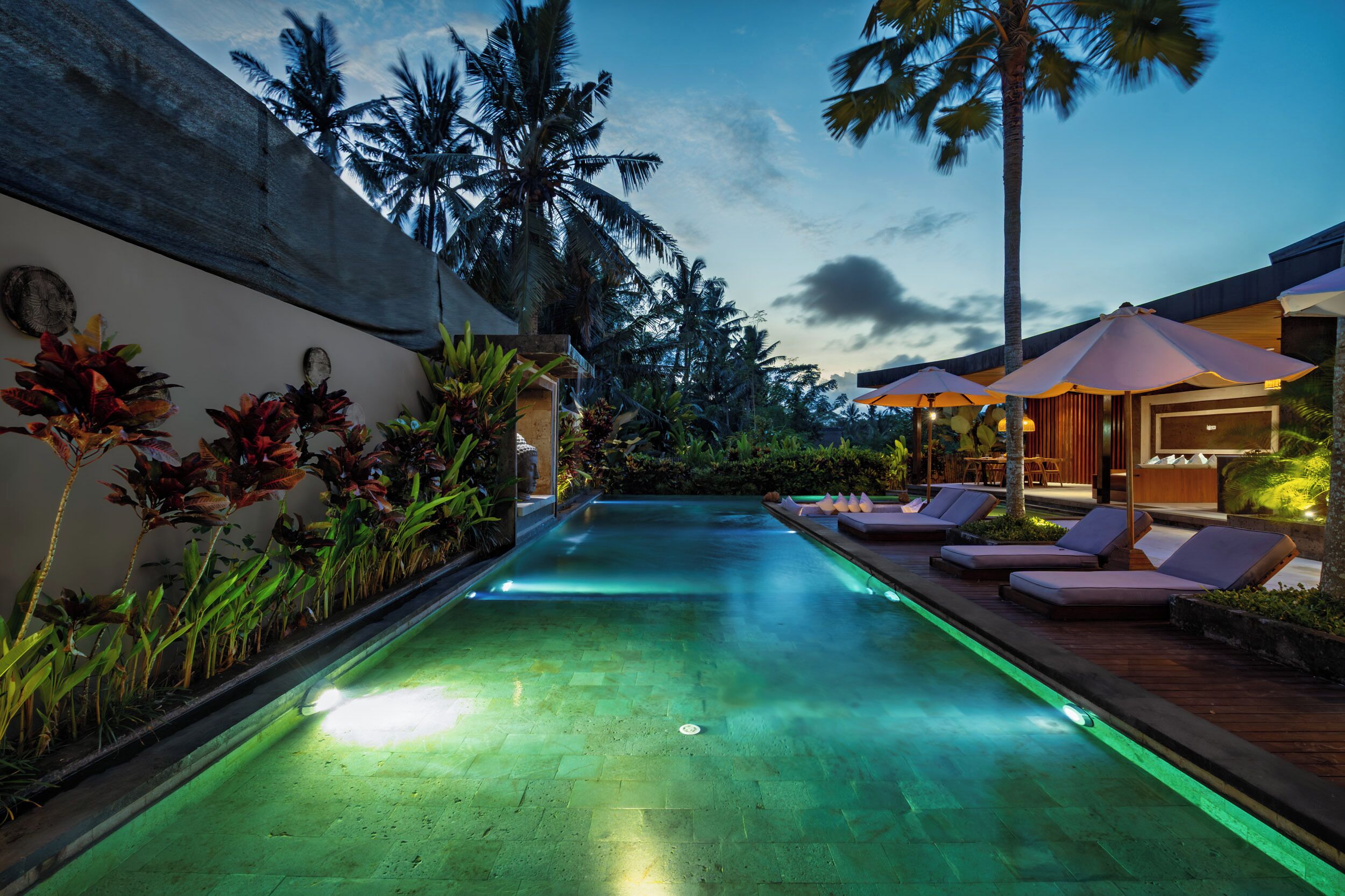 A swimming pool with lounge chairs and umbrellas, surrounded by tropical plants and palm trees.