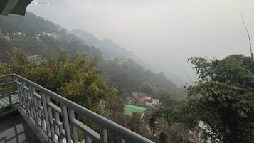 Superior Double Room, City View | View from room