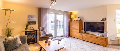 电视、DVD 播放器