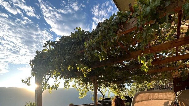 A patio with a view of the sea, a pergola with vines, a chair, a cat, and a potted plant.