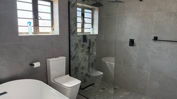 Shower, hair dryer, towels, toilet paper