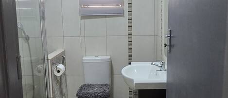 A bathroom with a toilet, sink, and shower.