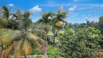 Vista desde la propiedad