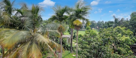 Vista desde la propiedad