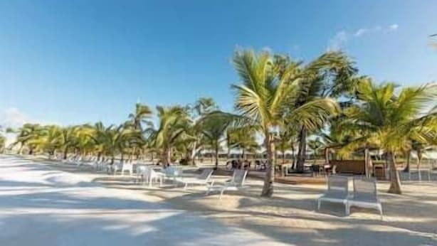 A beach with rows of palm trees and white lounge chairs. - NOK Modern 1BR Apartment With Terrace in Vistacana (Punta Cana)