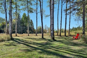 Property grounds - Iroquois Adirondack Cabin (Lake Placid)