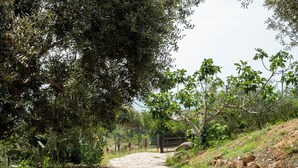 Ein gepflasterter Weg führt durch einen Garten mit Bäumen und einem Metalltor.