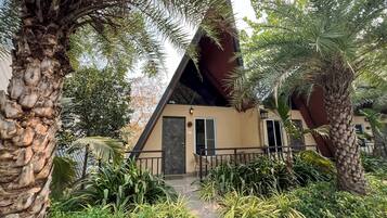 A building with a triangular roof, surrounded by lush greenery and palm trees.