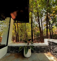 Detalle del exterior