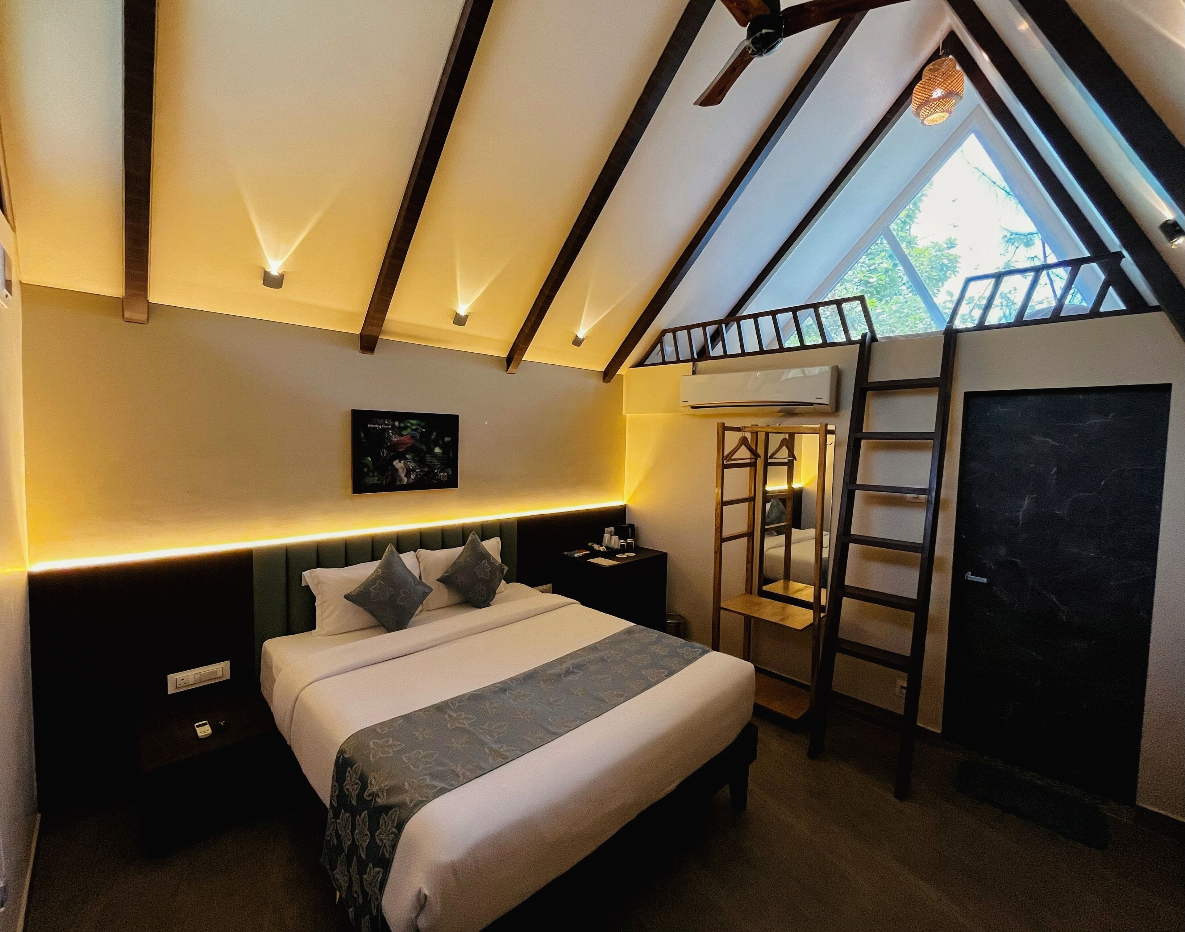 واي فاي مجانًا