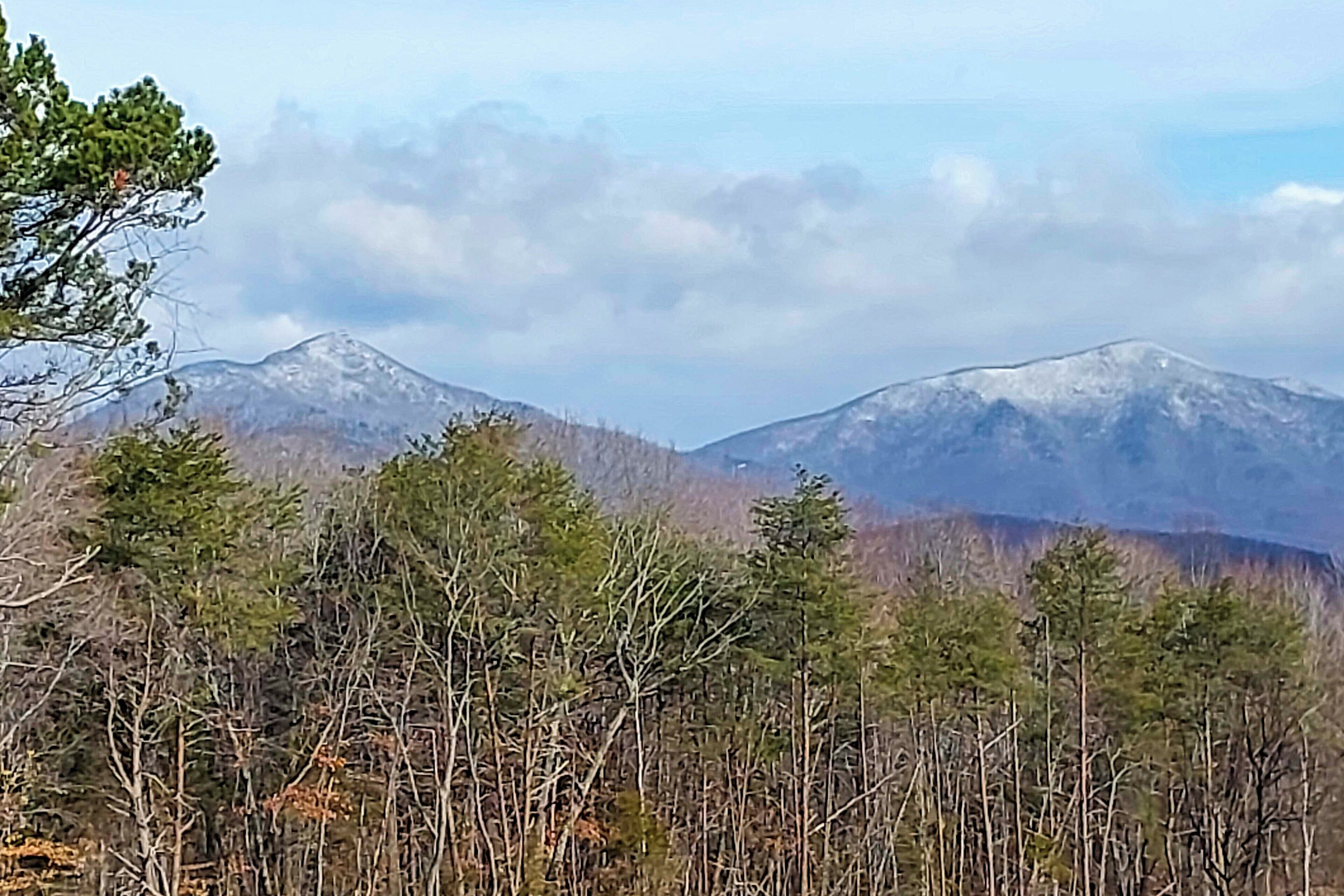 A mountainous landscape with dense forest in the foreground and snow-capped peaks in the background.