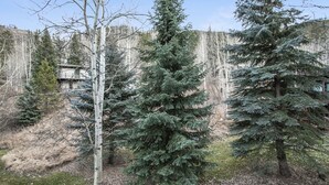 Unclassified image, 4 of 19, button - H5 Meadow Creek 3 Bedroom Townhouse (Vail)