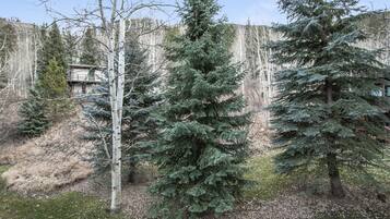 Townhome, 3 Bedrooms | Property grounds