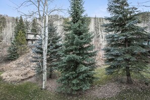 Townhome, 3 Bedrooms | Property grounds