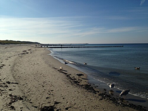 Dünenbungalow II - Ferienbungalow, 700m vom Strand in Graal-Müritz!!!