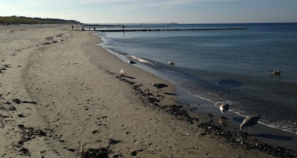 DĂŒnenbungalow II - Ferienbungalow, 700m vom Strand in Graal-MĂŒritz!!!