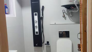 Shower, hair dryer, bidet, towels