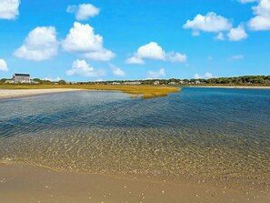 Beach - Charming 4 Bedroom Beach Retreat with Views, Steps to South Village Beach (West Dennis)