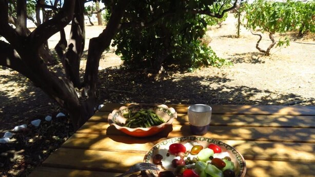 Une table avec un saladier de salade, un bol de haricots verts et un verre de boisson, le tout dans un cadre de vignoble.