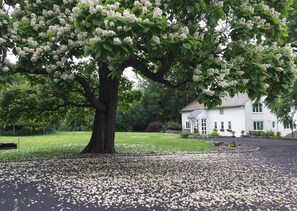 Property grounds - Entire 4-bedroom vacation lodge in Mountanville, New York. (New Windsor)