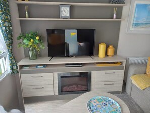 Fireplace - Blue Water 3 Beverley Bay Static Caravan (Paignton)