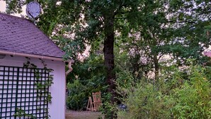 Et hus med tegltag, espalier og et stort træ i baggrunden.