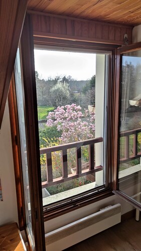 Peaceful 3-bedroom house in Vulaines-sur-Seine perfect for a country getaway.